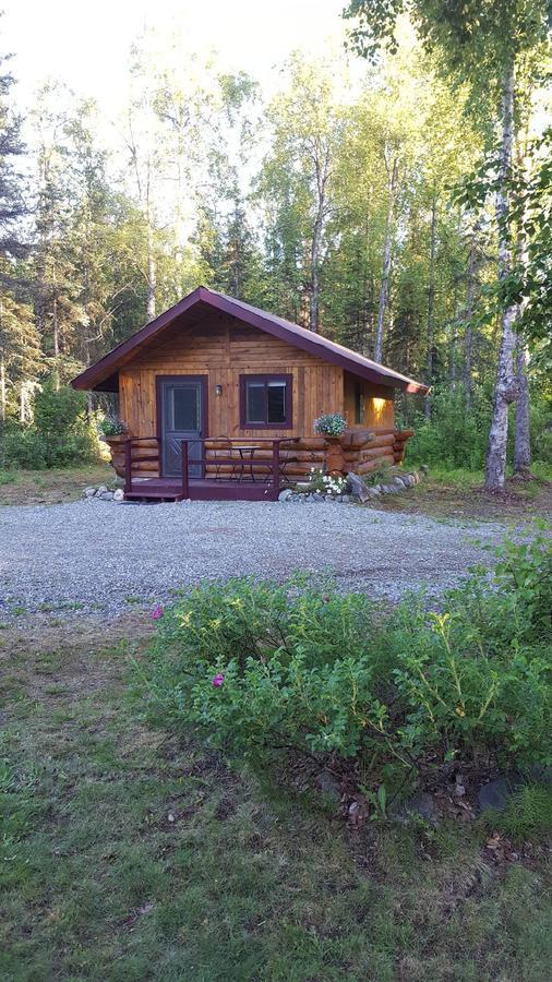 Talkeetna Fireweed Cabins Exterior foto