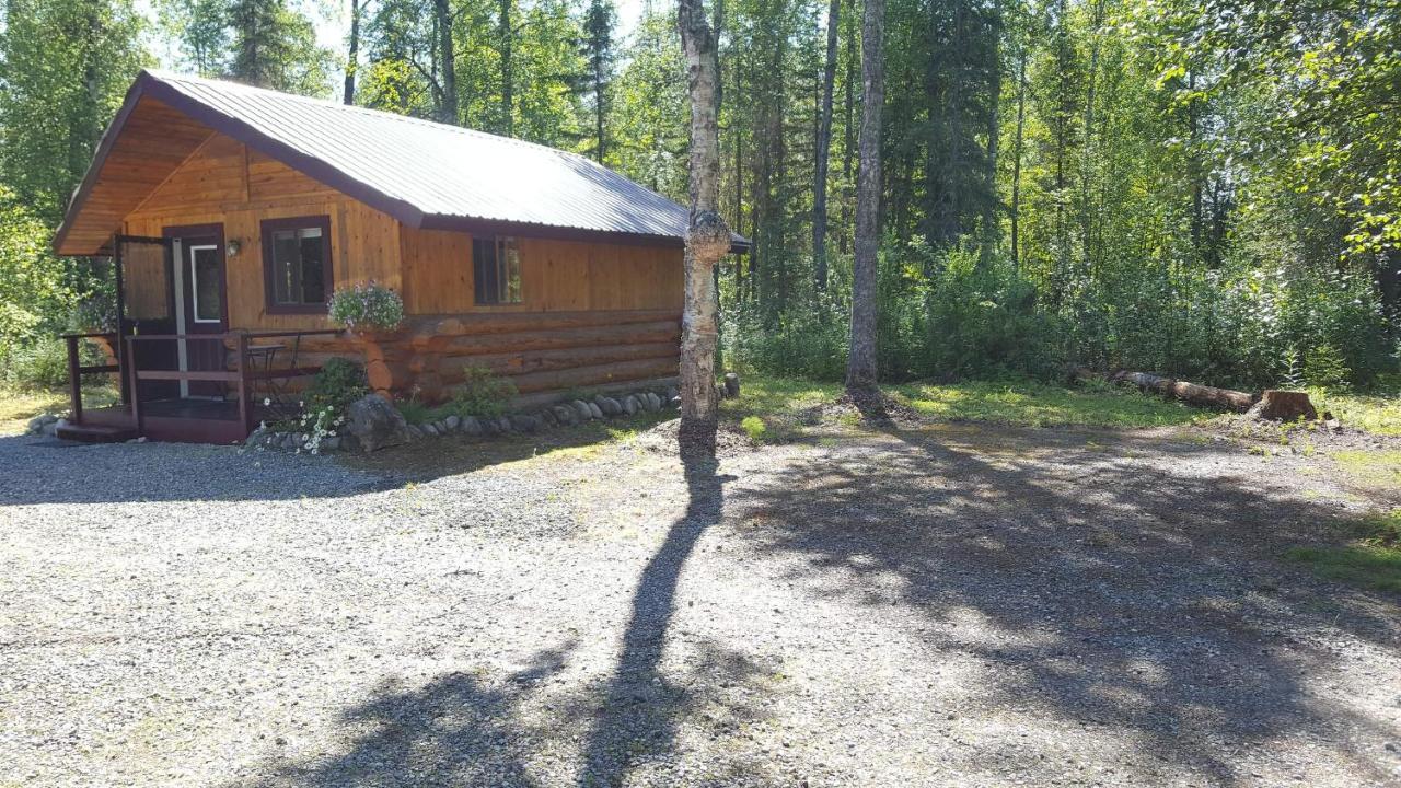 Talkeetna Fireweed Cabins Exterior foto