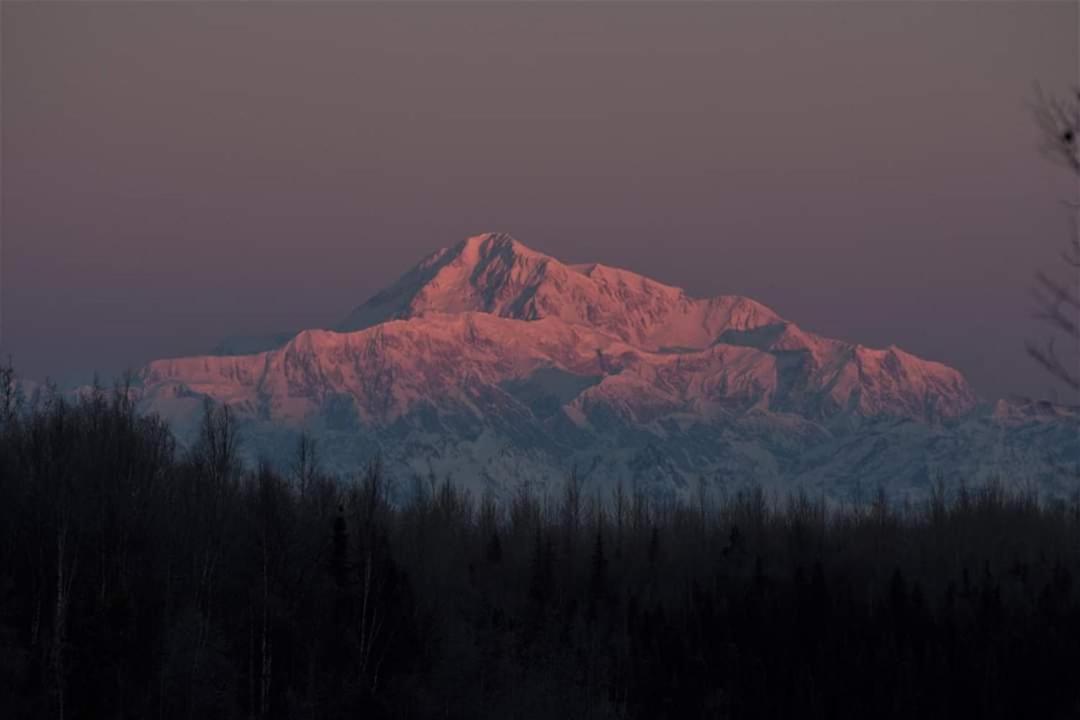 Talkeetna Fireweed Cabins Exterior foto